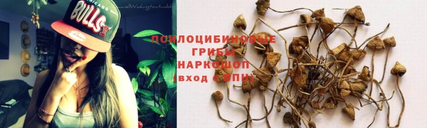 герыч Зерноград
