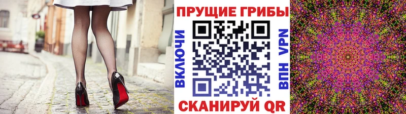 где можно купить   Ковров  kraken рабочий сайт  Галлюциногенные грибы GOLDEN TEACHER 